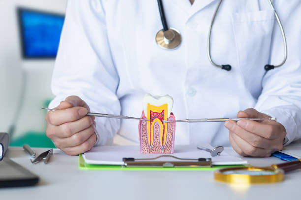 Best Tooth Pain Emergency Relief  in Montrose, VA